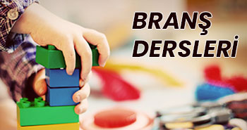 bransdersleri